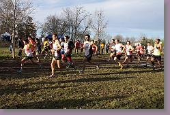 Begles 15.12.13 01 1020 * 679 x 453 * (181KB)